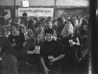 Longhorns Niederndorf 118
