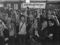 Longhorns Niederndorf 124