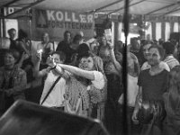 Longhorns Niederndorf 237